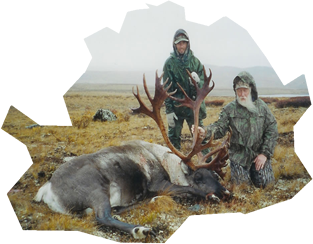 Trophy caribou from northern BC
